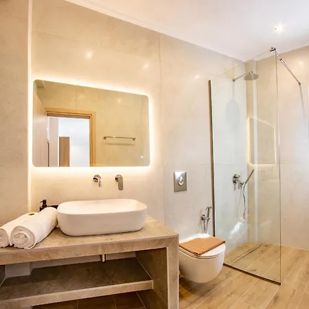 公寓式酒店 Aetheria Luxury Living Lefkada 奈德里